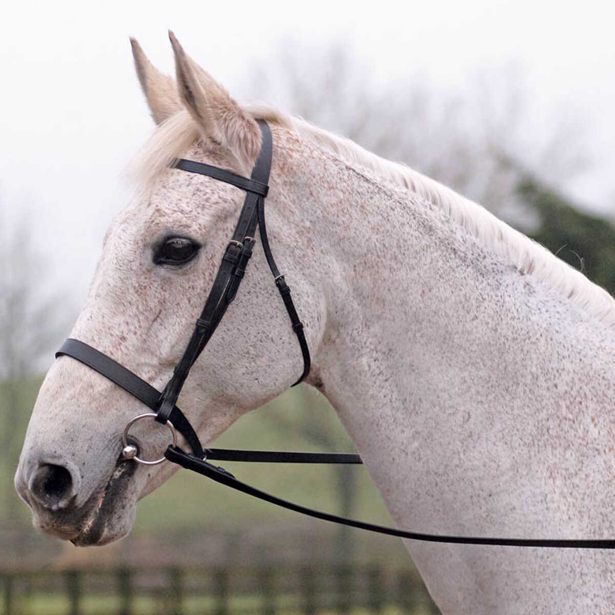 Lincoln Bridle With Plain Reins in Black