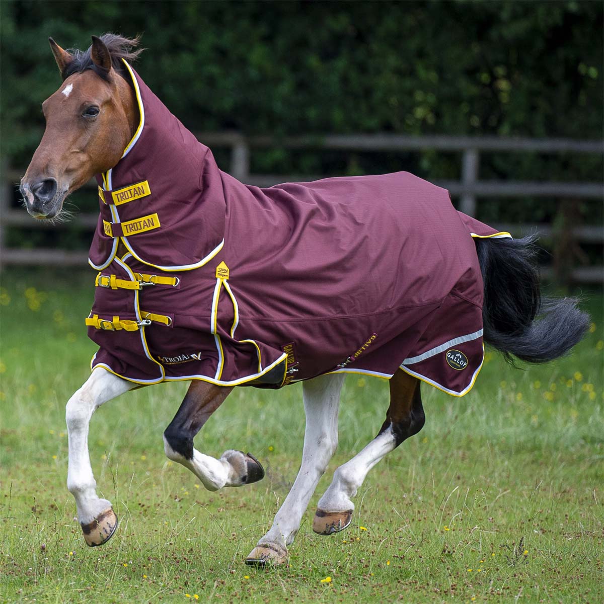 Gallop TROJAN Xtra 200 Duraproof Combo Turnout Burgundy