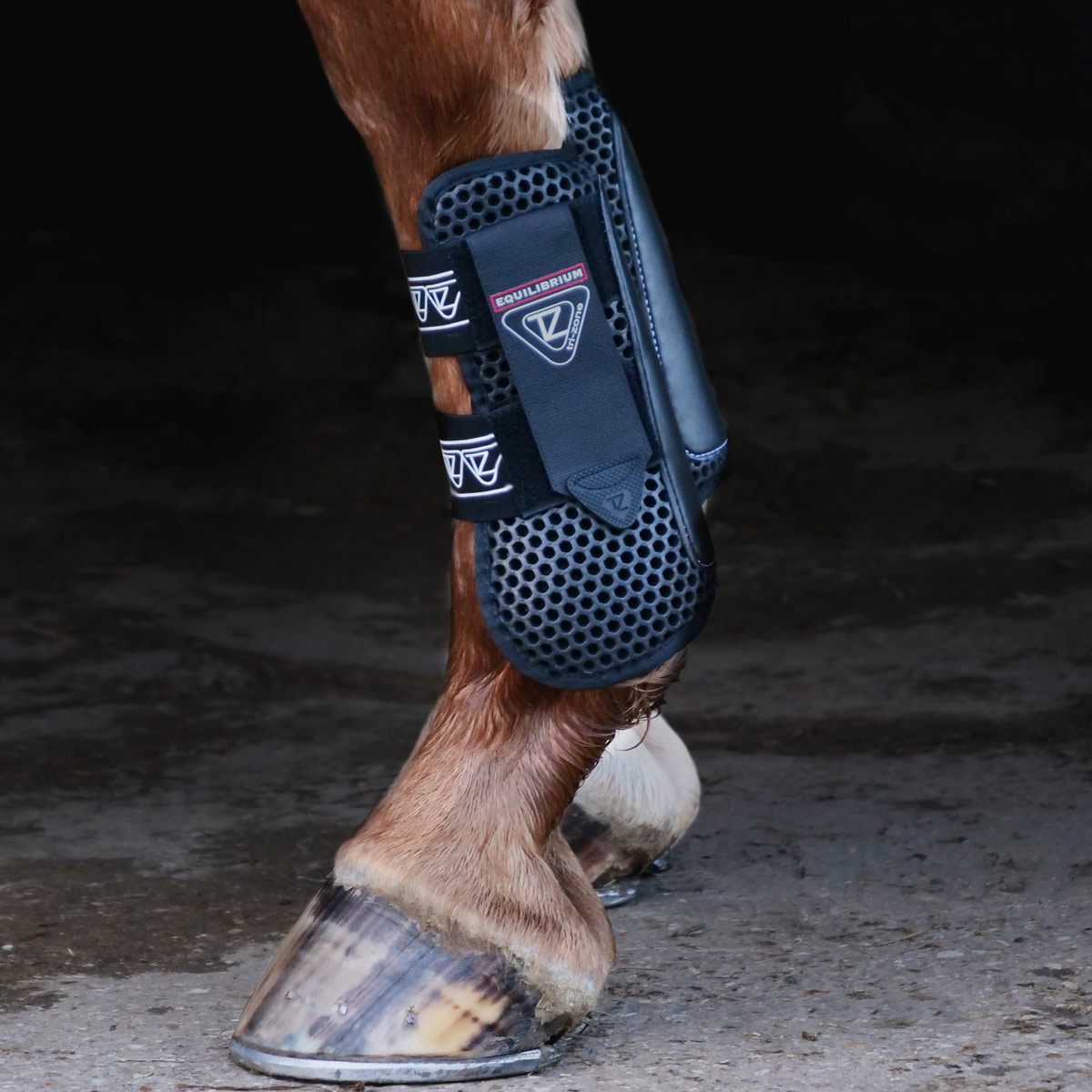 Equilibrium brushing new arrivals boots