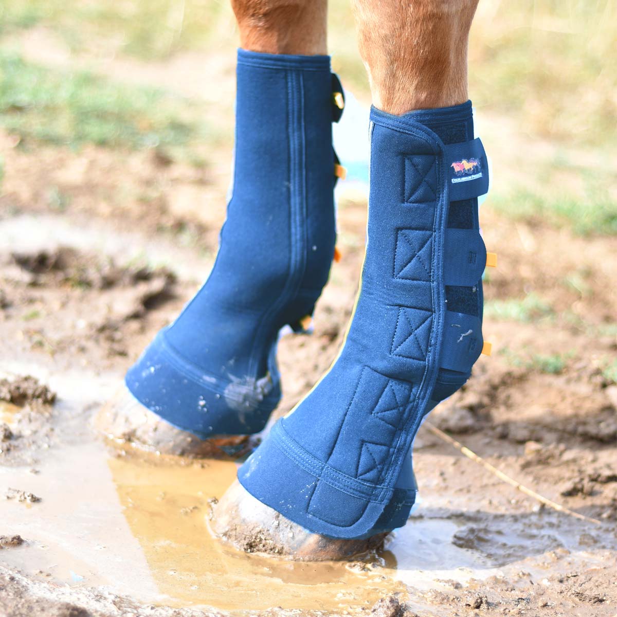 Blue shop horse boots