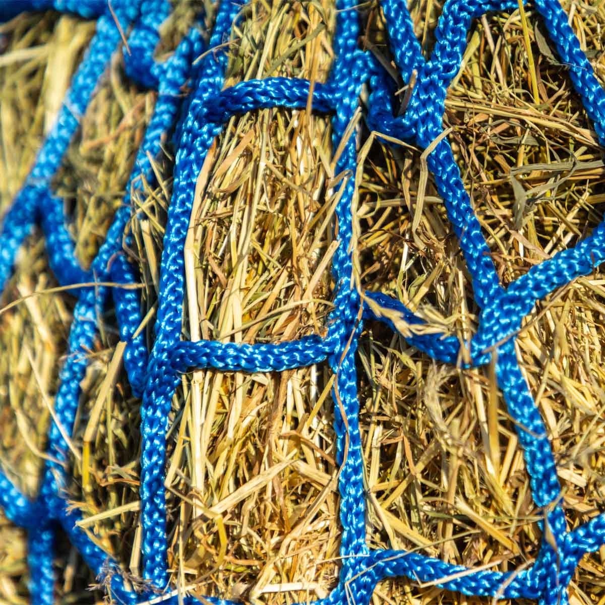 Equilibrium Portionpacer Haynet Steady Feeder Blue Size XL (12 KG)
