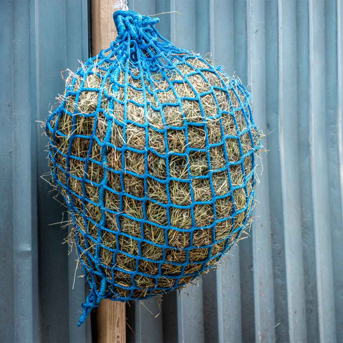 Equilibrium Portionpacer Haynet Steady Feeder Blue Size LGE (8 KG) 