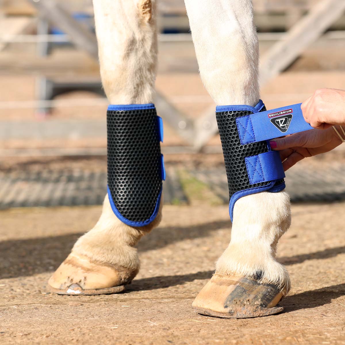 Brushing Boot Pattern Equilibrium Tri-Zone Brushing Boot Royal Blue | Harry Hall