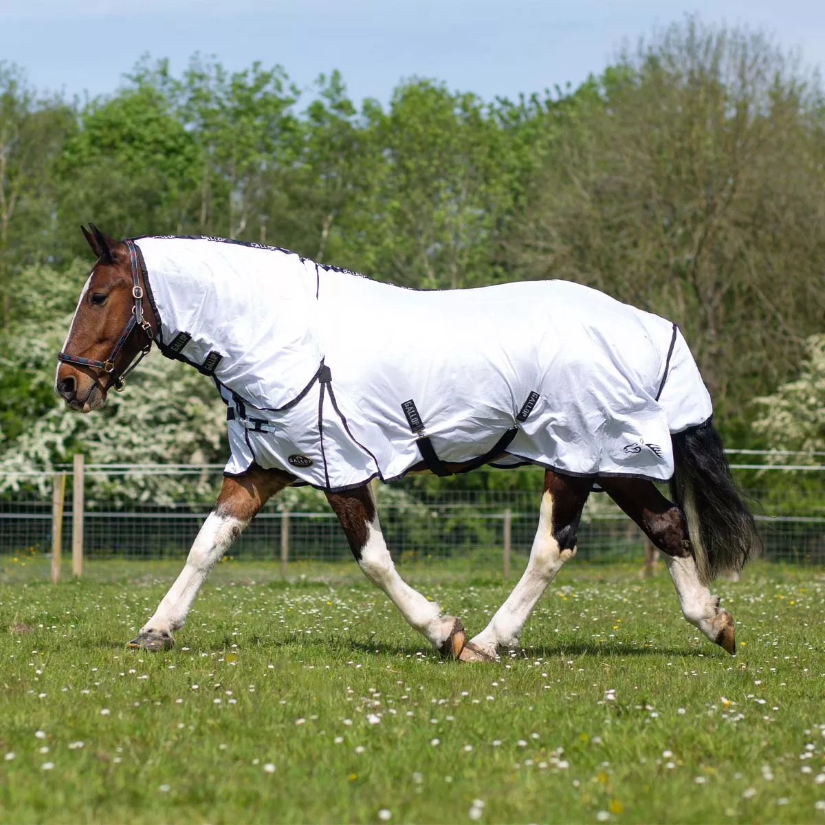 Gallop Classic Mesh Combo Fly Rug White