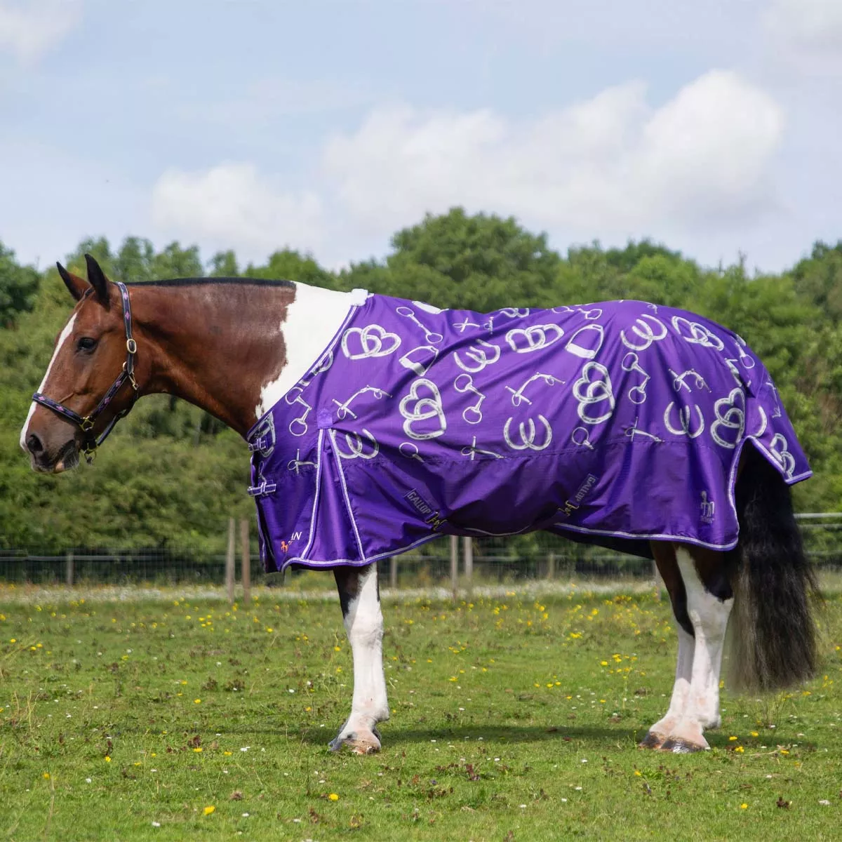 Gallop Trojan Bits of Luck Lightweight Turnout Rug Purple