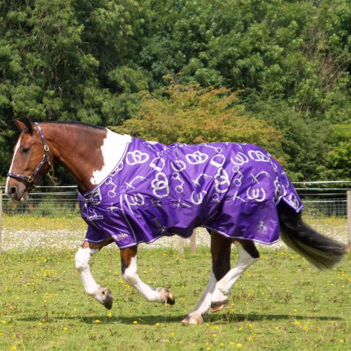 Gallop Trojan Bits of Luck Lightweight Turnout Rug Purple