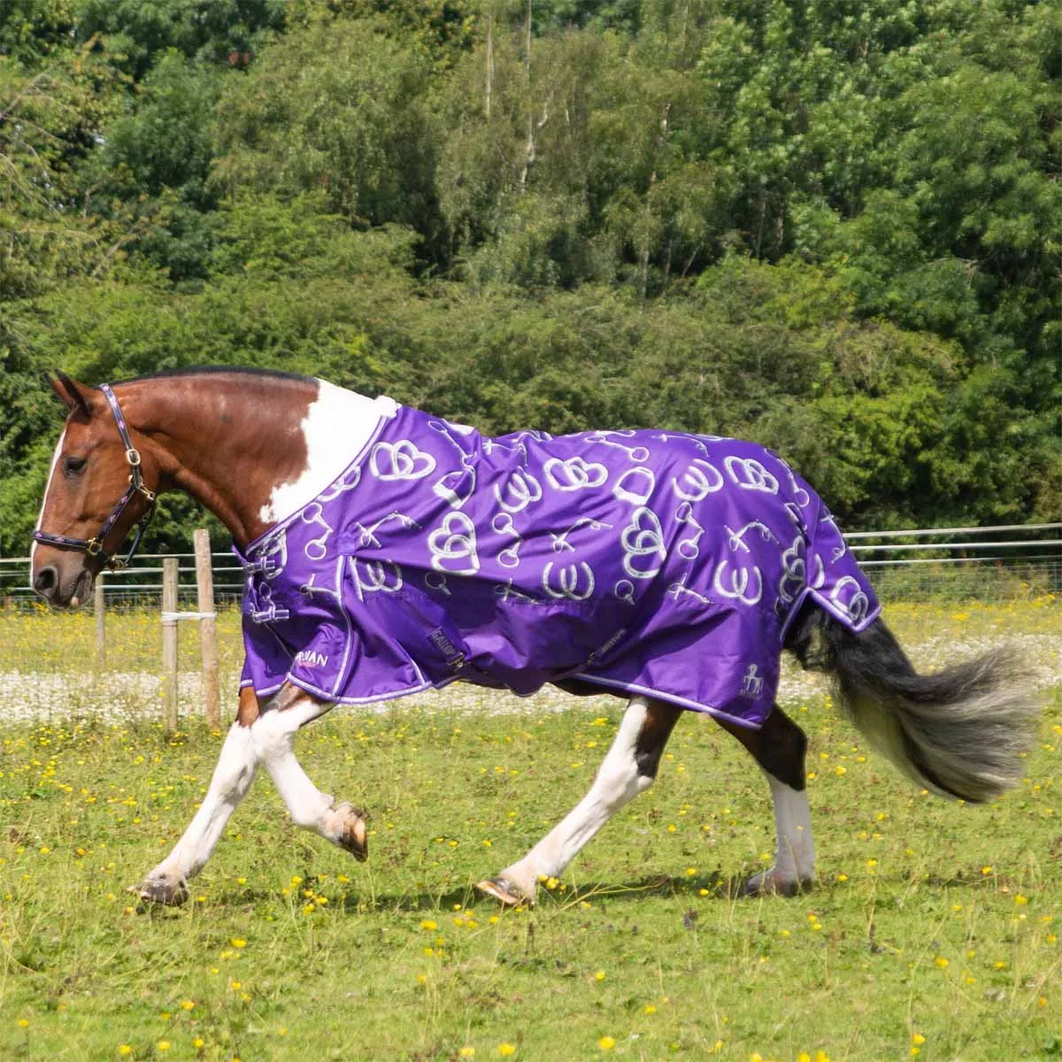 Gallop Trojan Bits of Luck Lightweight Turnout Rug Purple