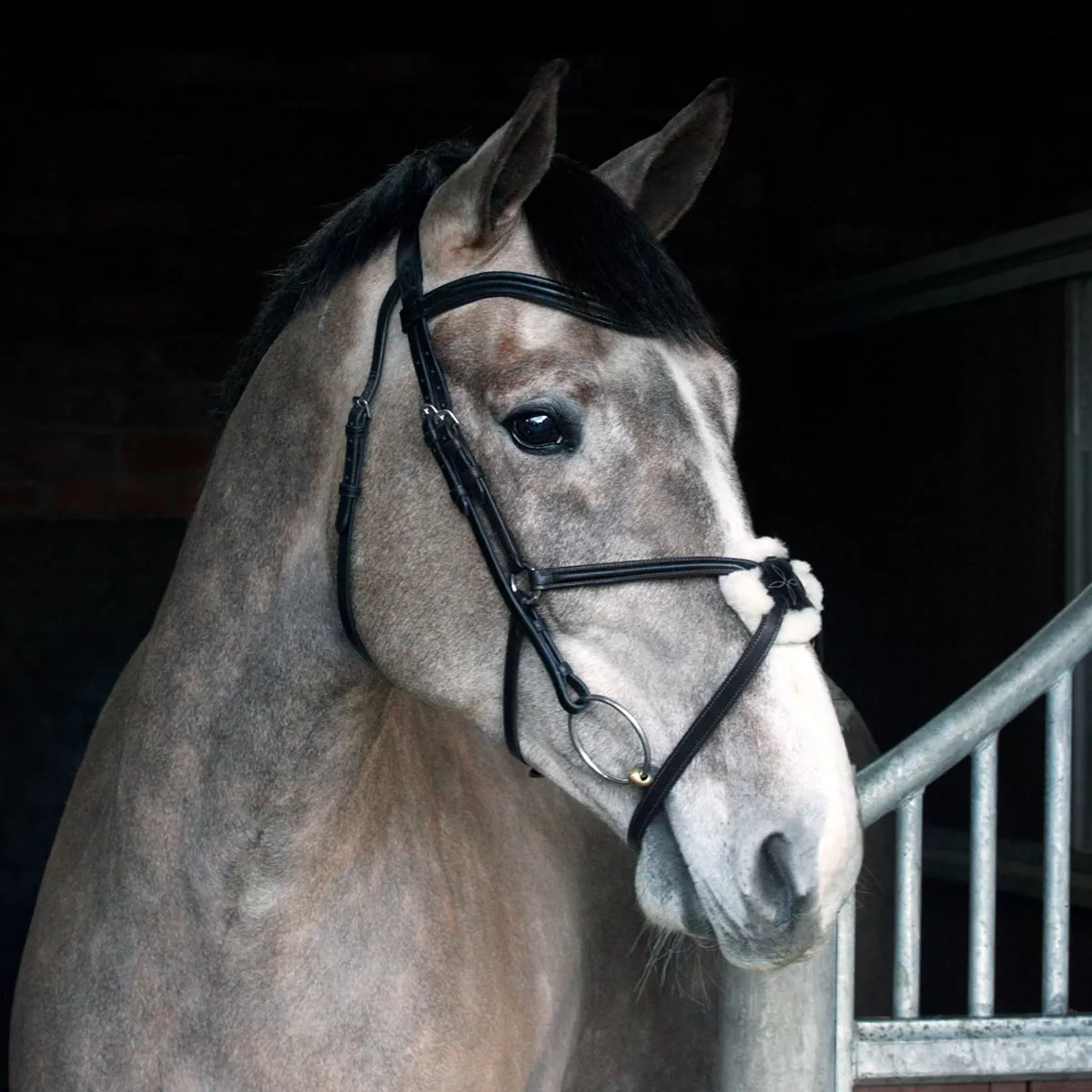 Cottage Craft Grackle Bridle Black