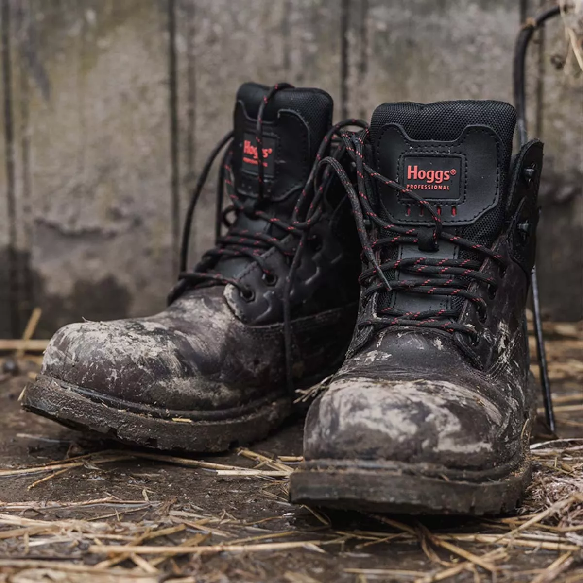 Hoggs Of Fife Hercules Safety Lace Up Boot Black