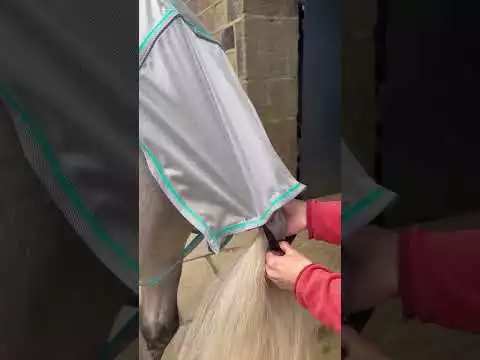 Ventomasta Combo Fly Rug Silver