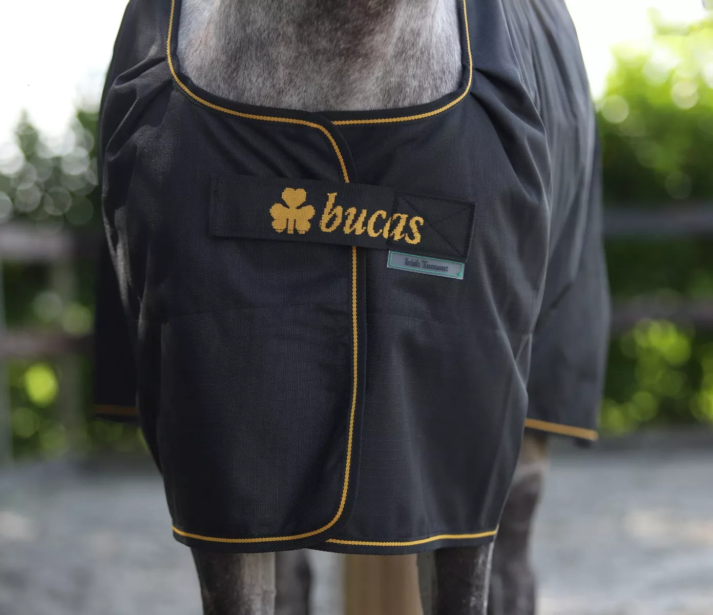 Bucas Irish 50g Turnout Rug Black/Gold