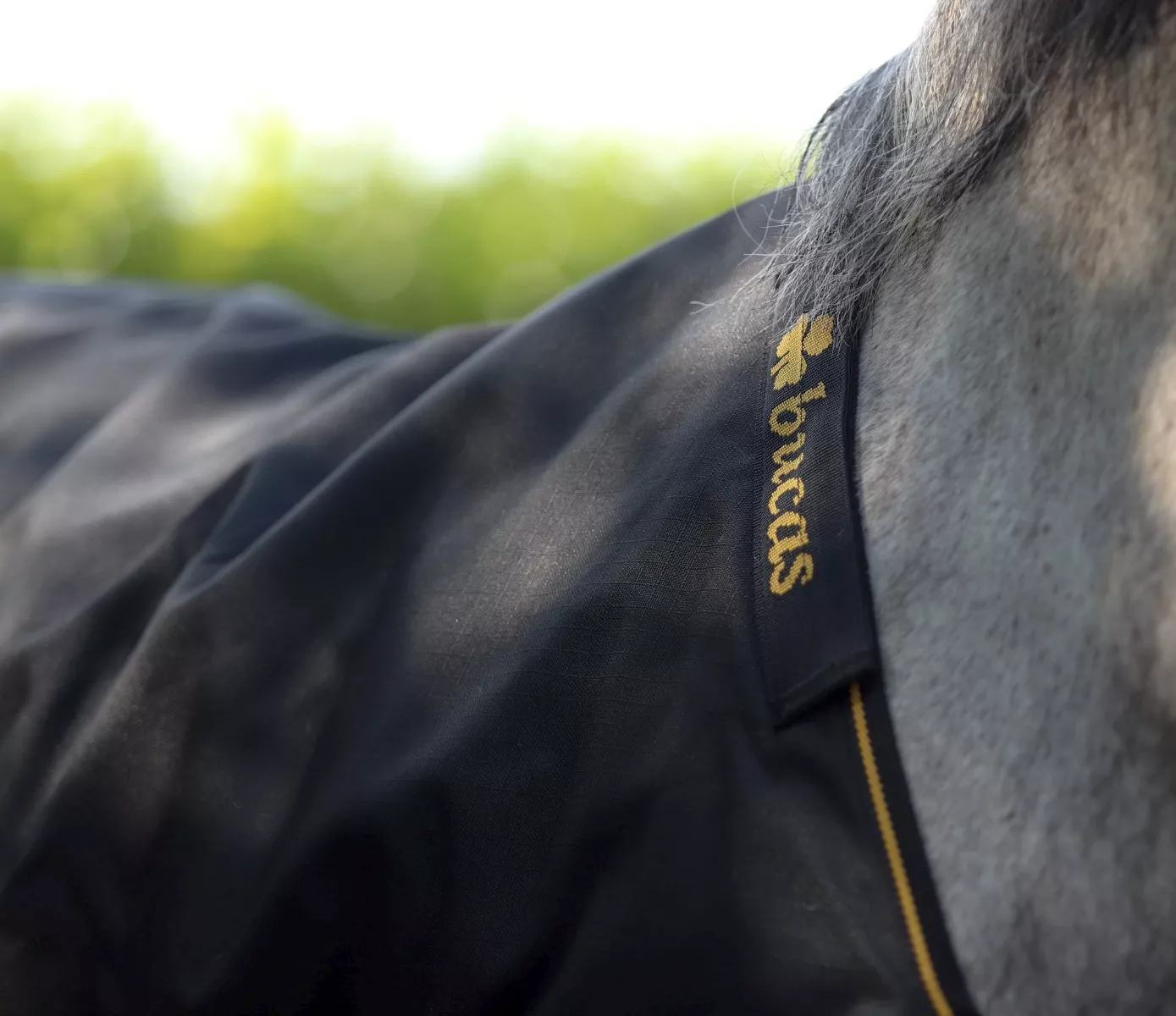 Bucas Irish 50g Turnout Rug Black/Gold
