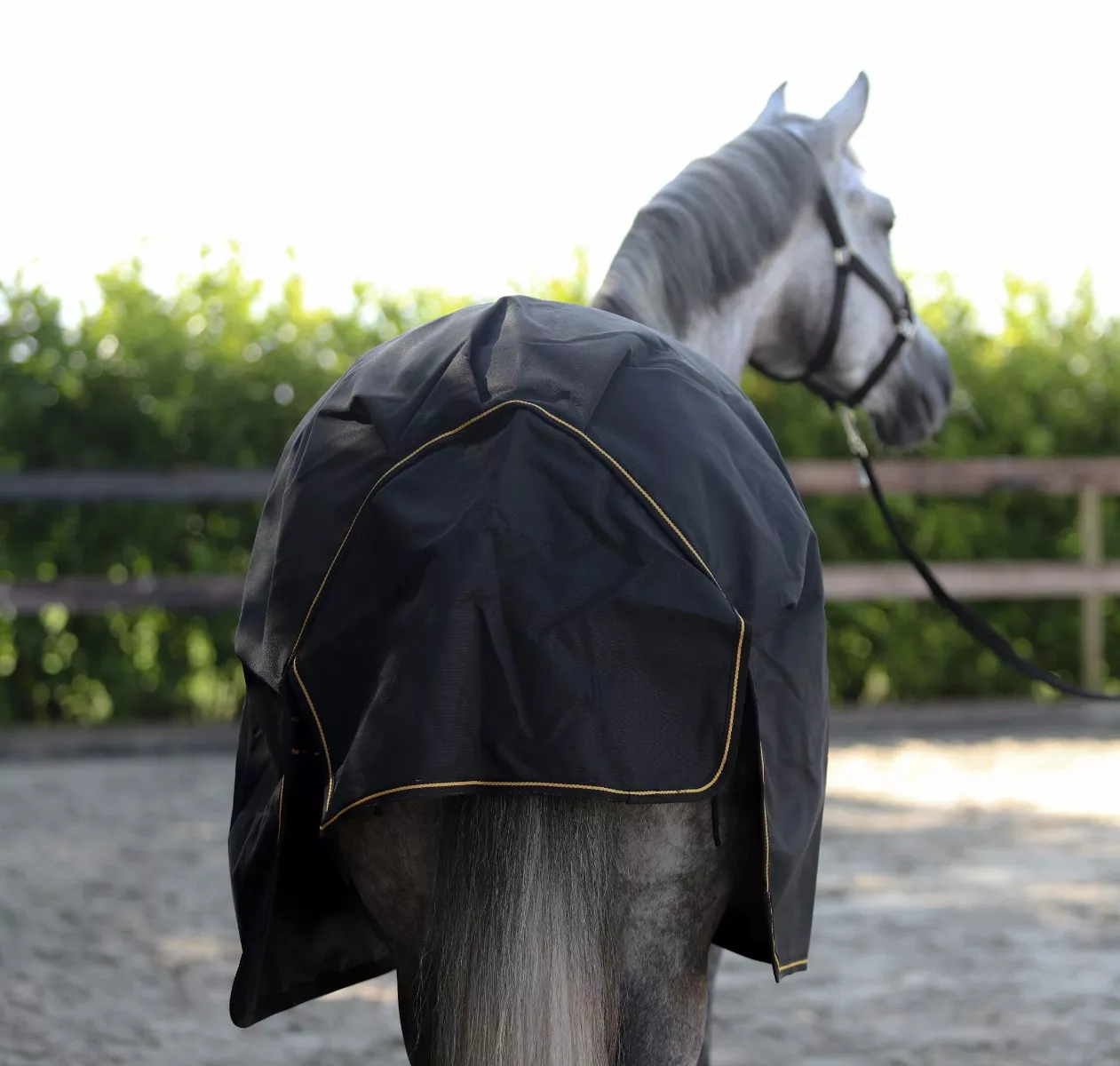 Bucas Irish 50g Turnout Rug Black/Gold