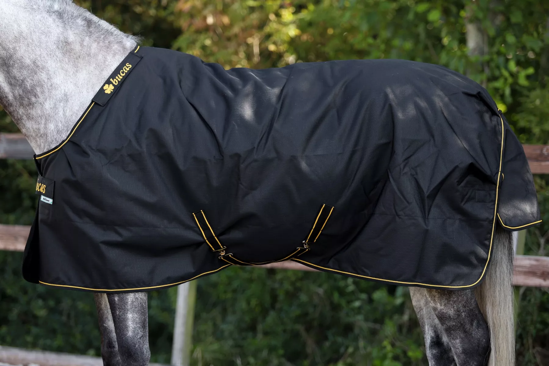 Bucas Irish 50g Turnout Rug Black/Gold
