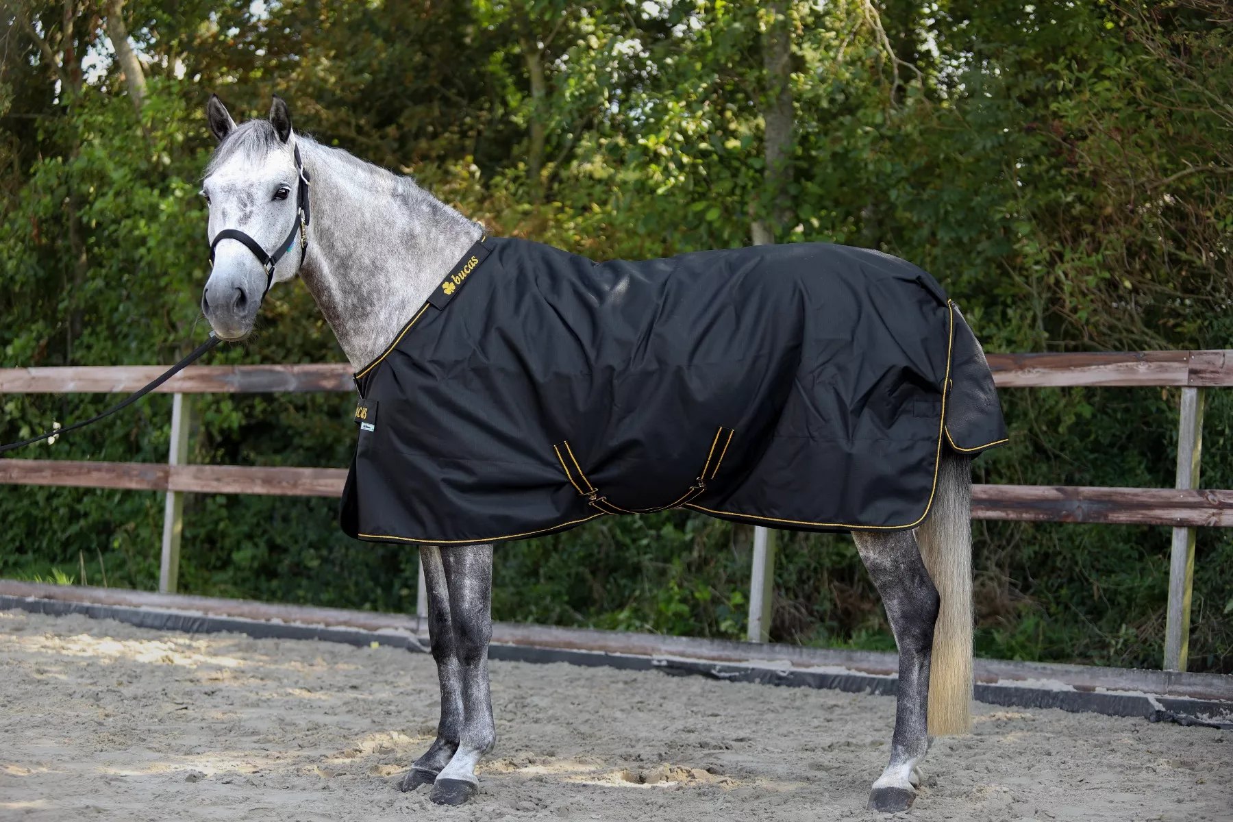 Bucas Irish 50g Turnout Rug Black/Gold