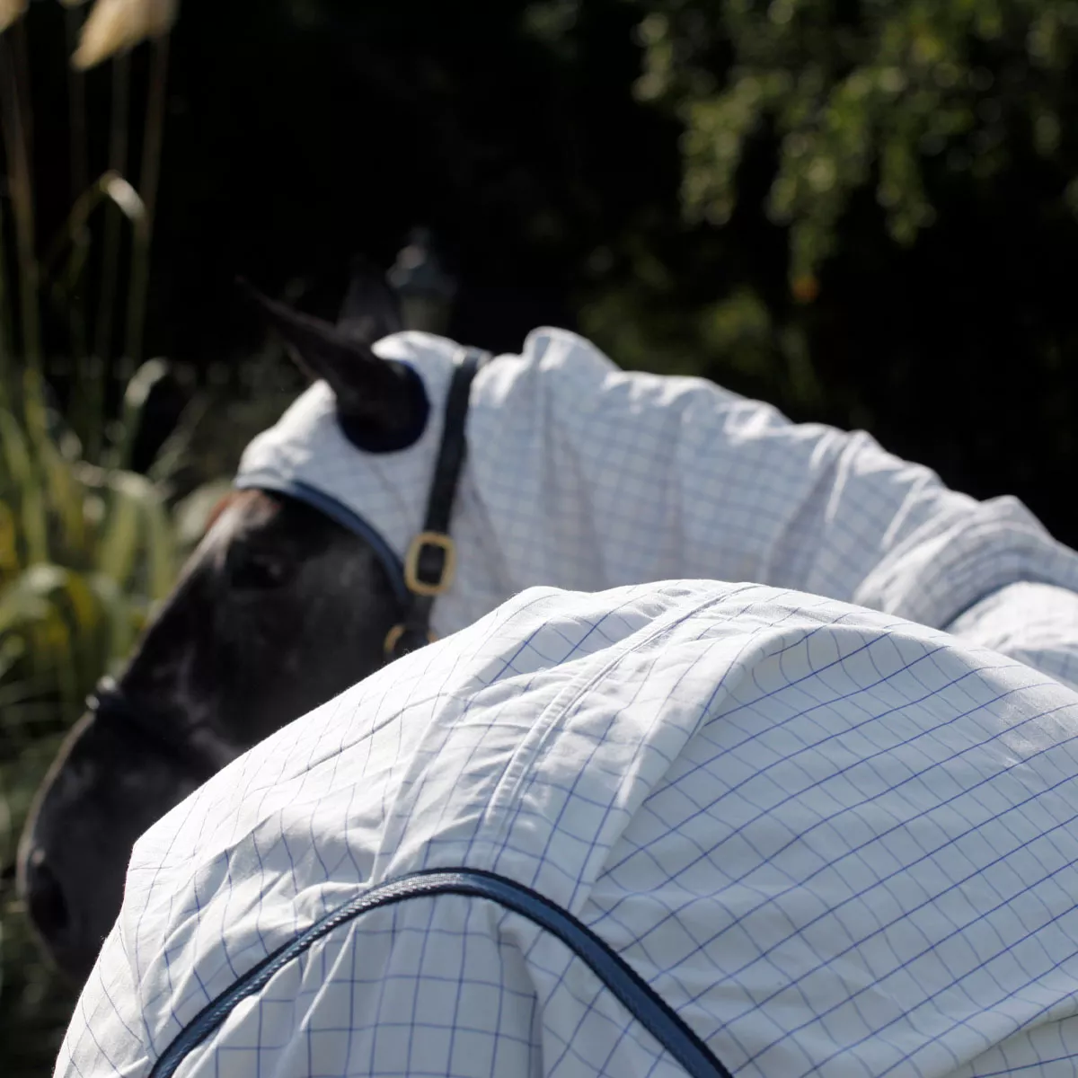 Masta Combo Sweet Itch Fly Rug with Belly Wrap White