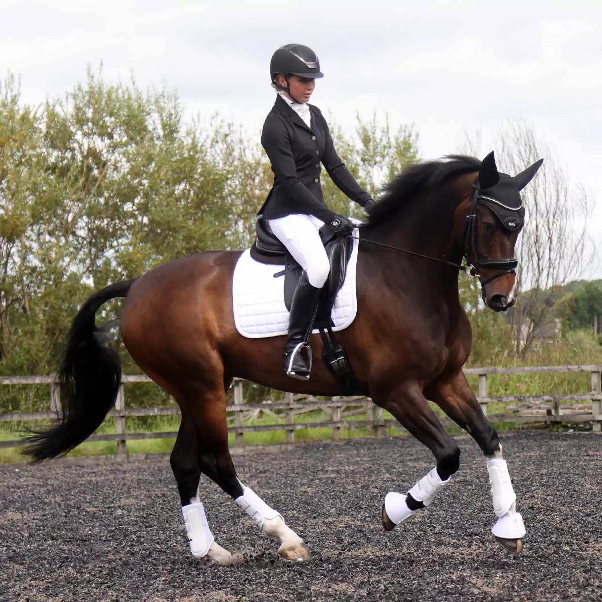Protechmasta Far Infrared Airmesh Dressage Saddle Pad White