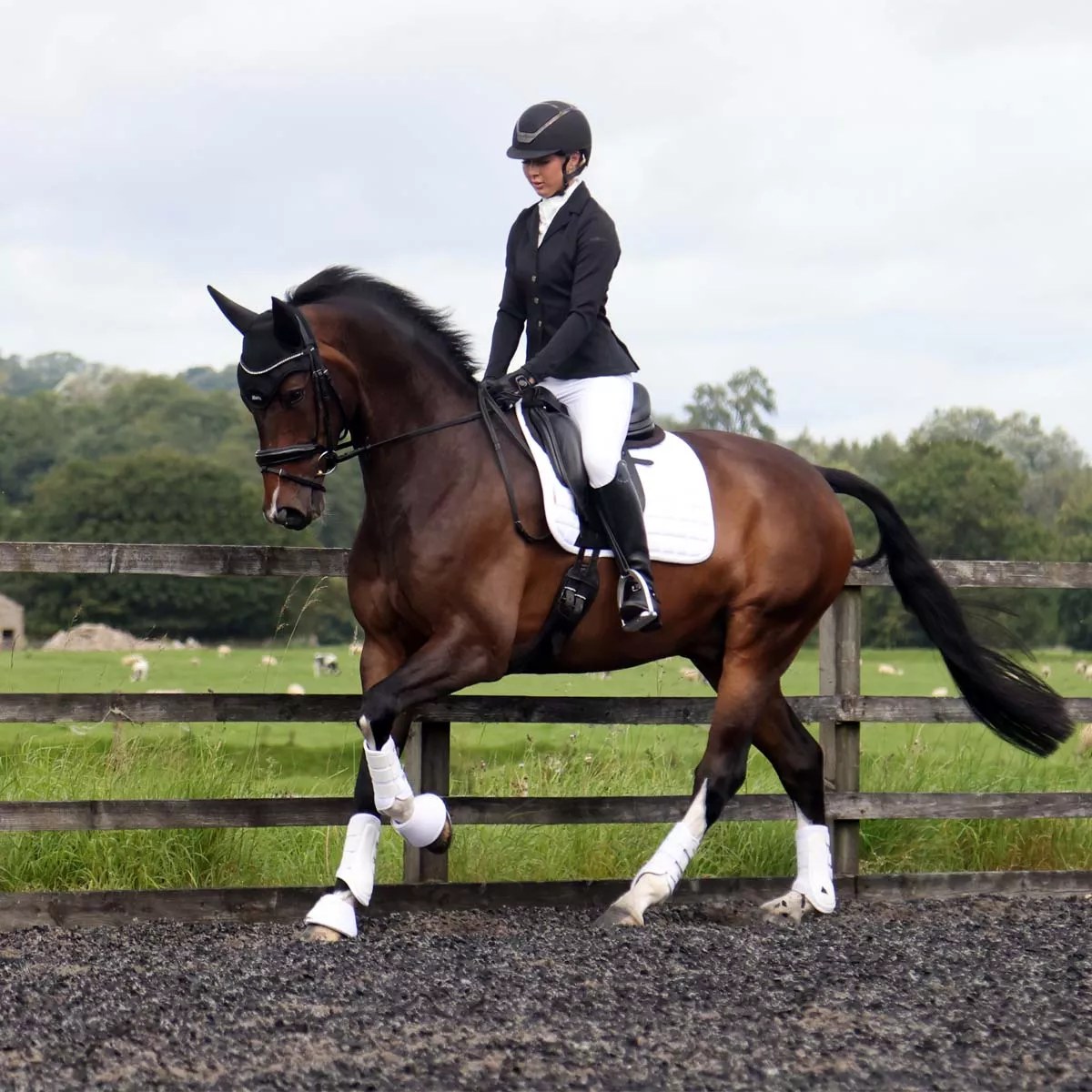 Protechmasta Far Infrared Airmesh Dressage Saddle Pad White
