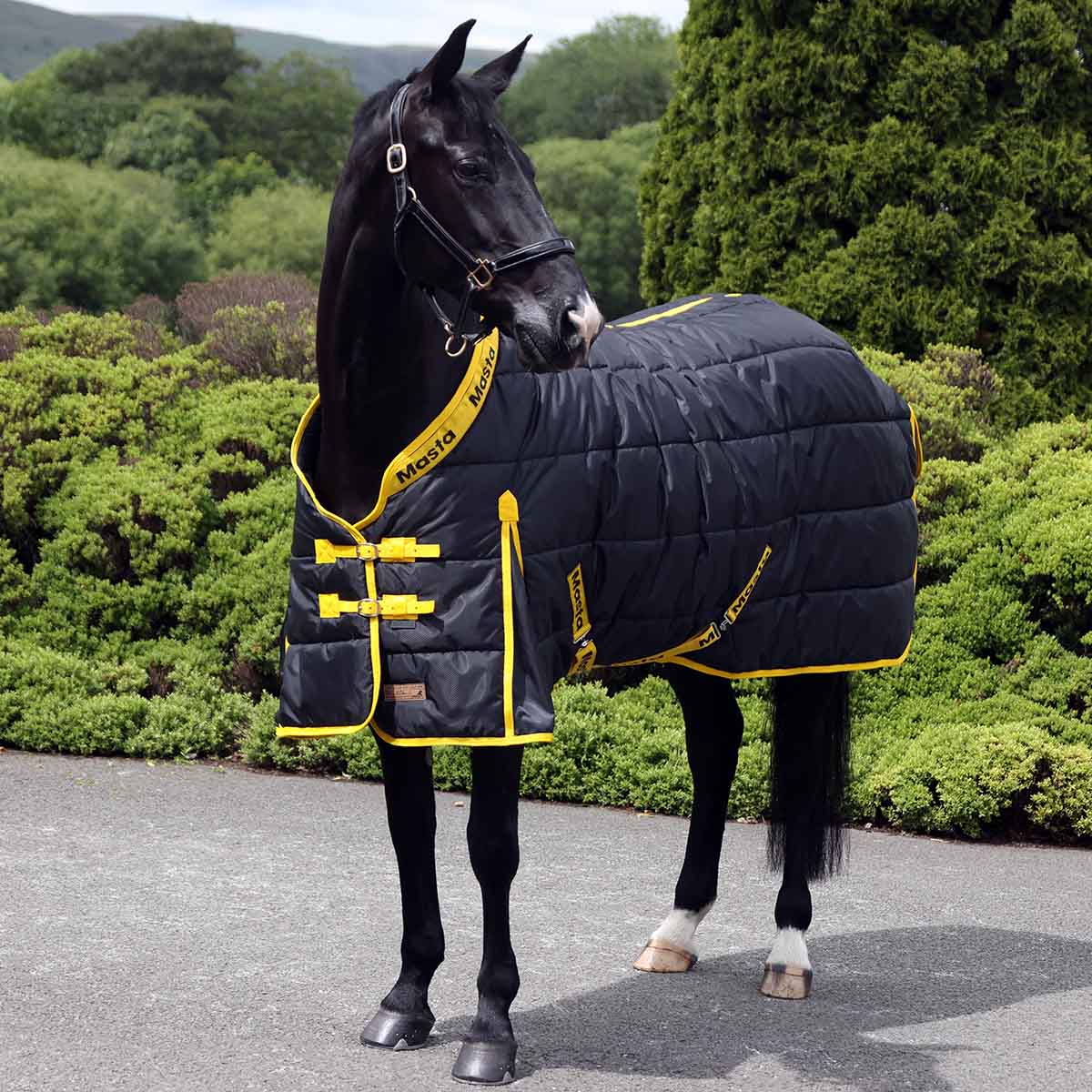 Masta Regal 300g Stable Rug Black