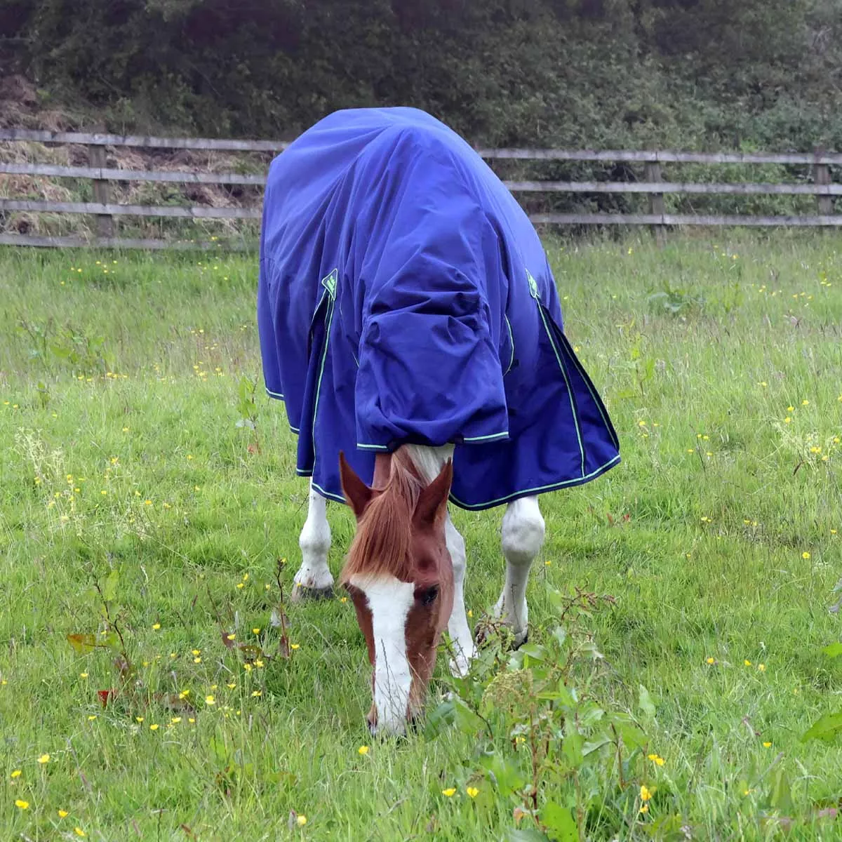 Fieldmasta 100g Lightweight Combo Neck Turnout Rug Navy Blue