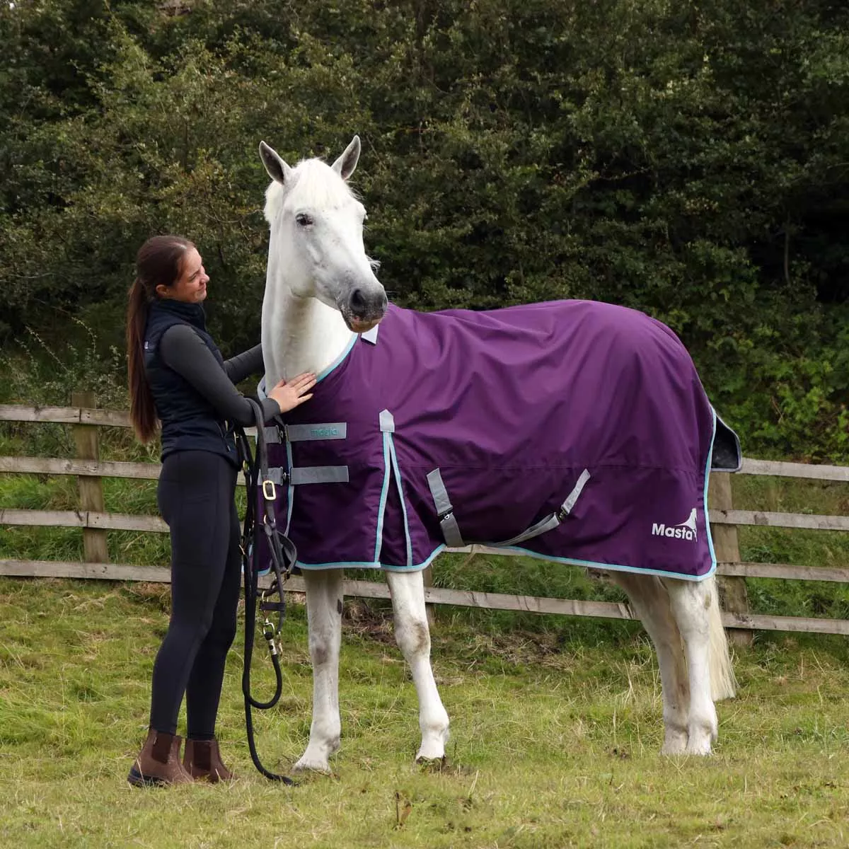 Ventomasta 50g Lightweight Standard Neck Turnout Rug Dark Purple