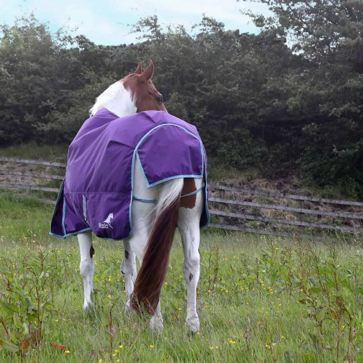 Ventomasta 100g Lightweight Standard Neck Turnout Rug Dark Purple