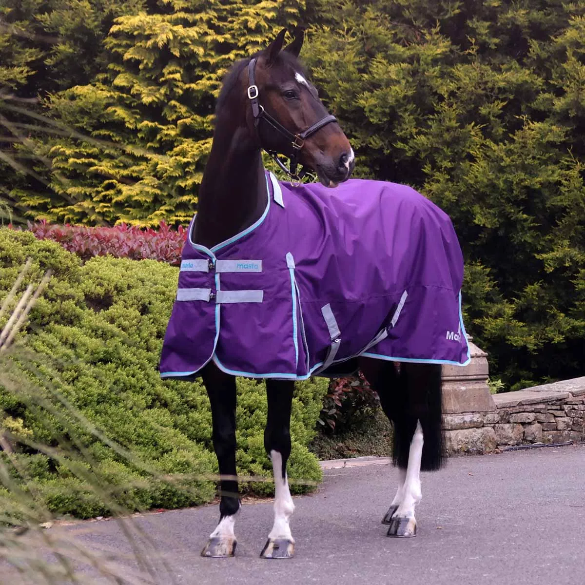 Ventomasta 50g Lightweight Standard Neck Turnout Rug Dark Purple