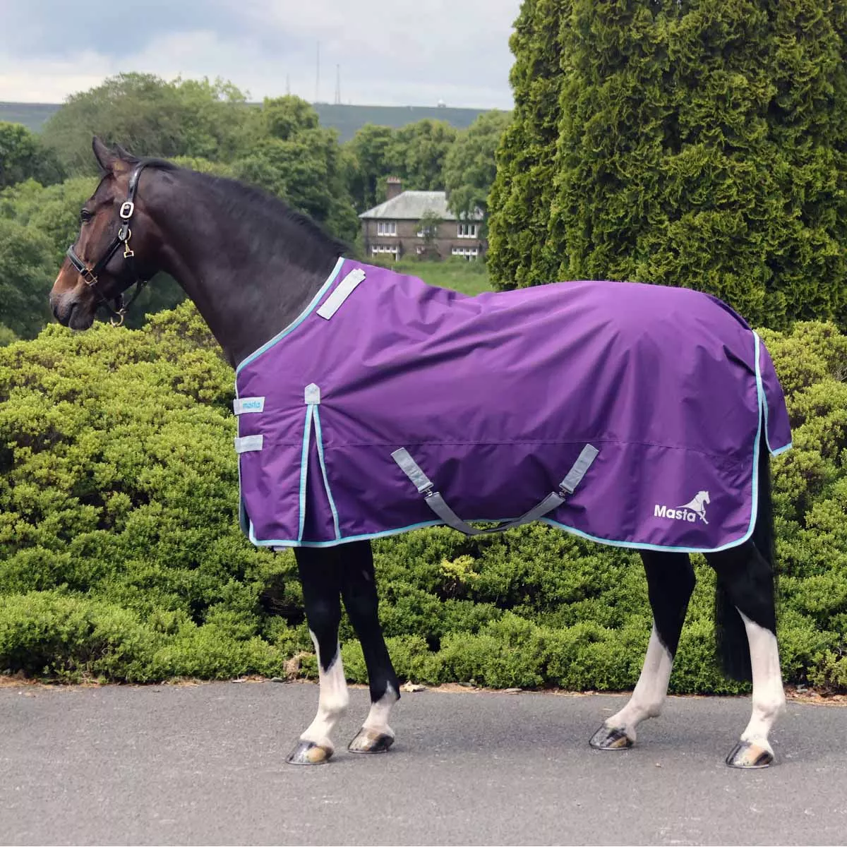 Ventomasta 50g Lightweight Standard Neck Turnout Rug Dark Purple