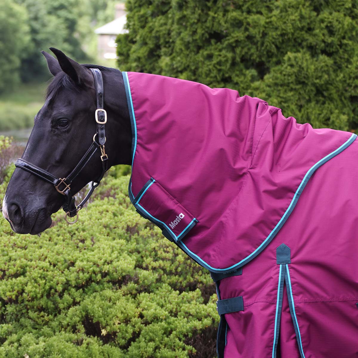 Ventomasta 50g Neck Cover Burgundy
