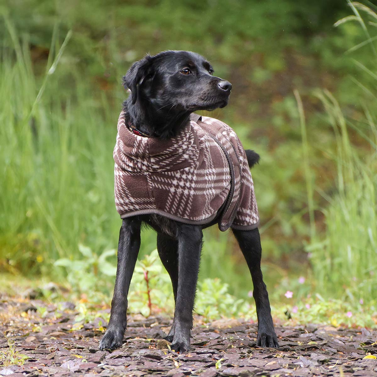 Woofmasta Checked Fleece Dog Coat Chocolate