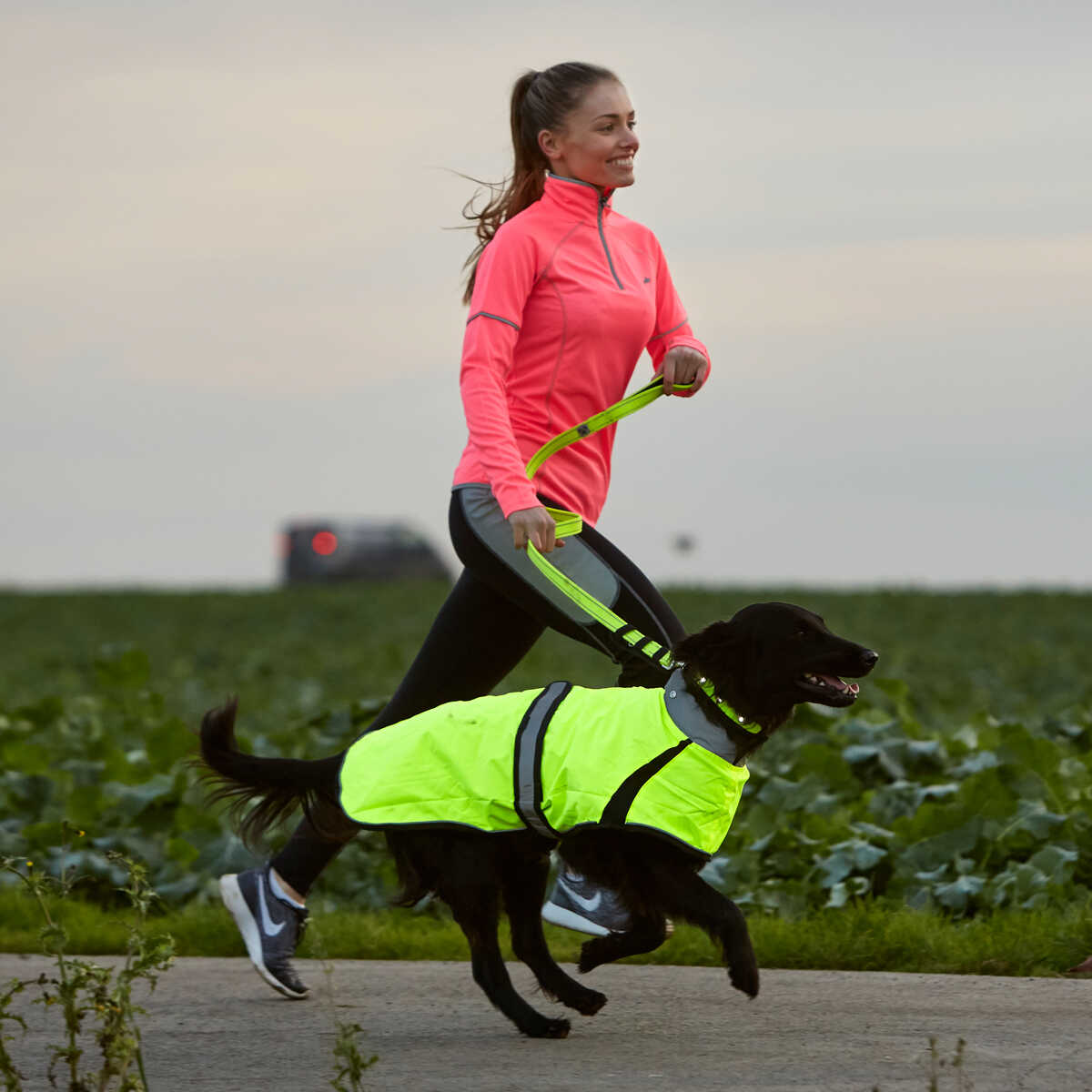 Woofmasta Hi Viz Flashing Dog Lead