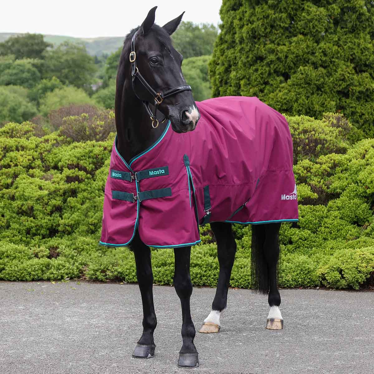 Masta Vento 200g Standard Neck Turnout Burgundy