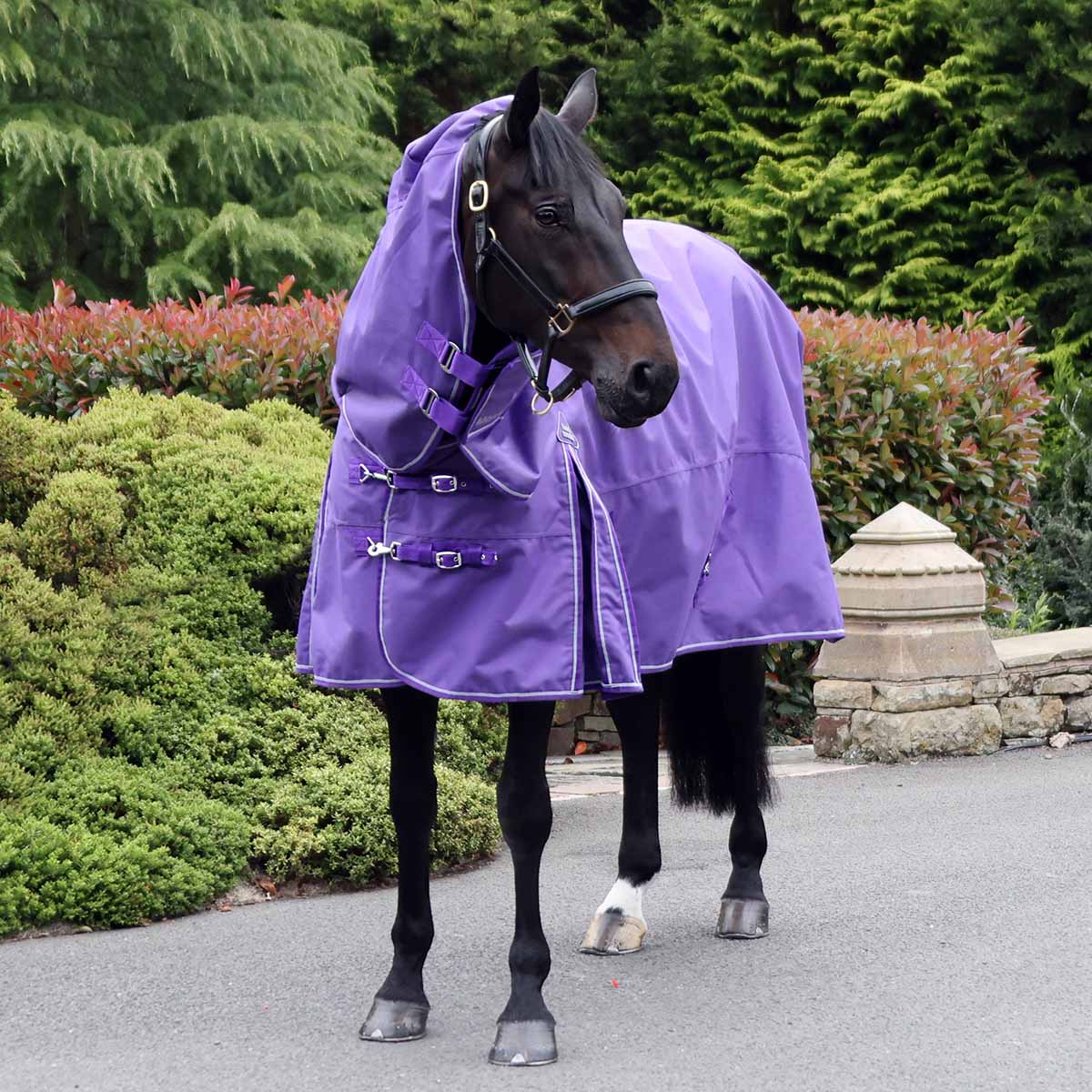 Fieldmasta 40g Turnout Rug Light Purple