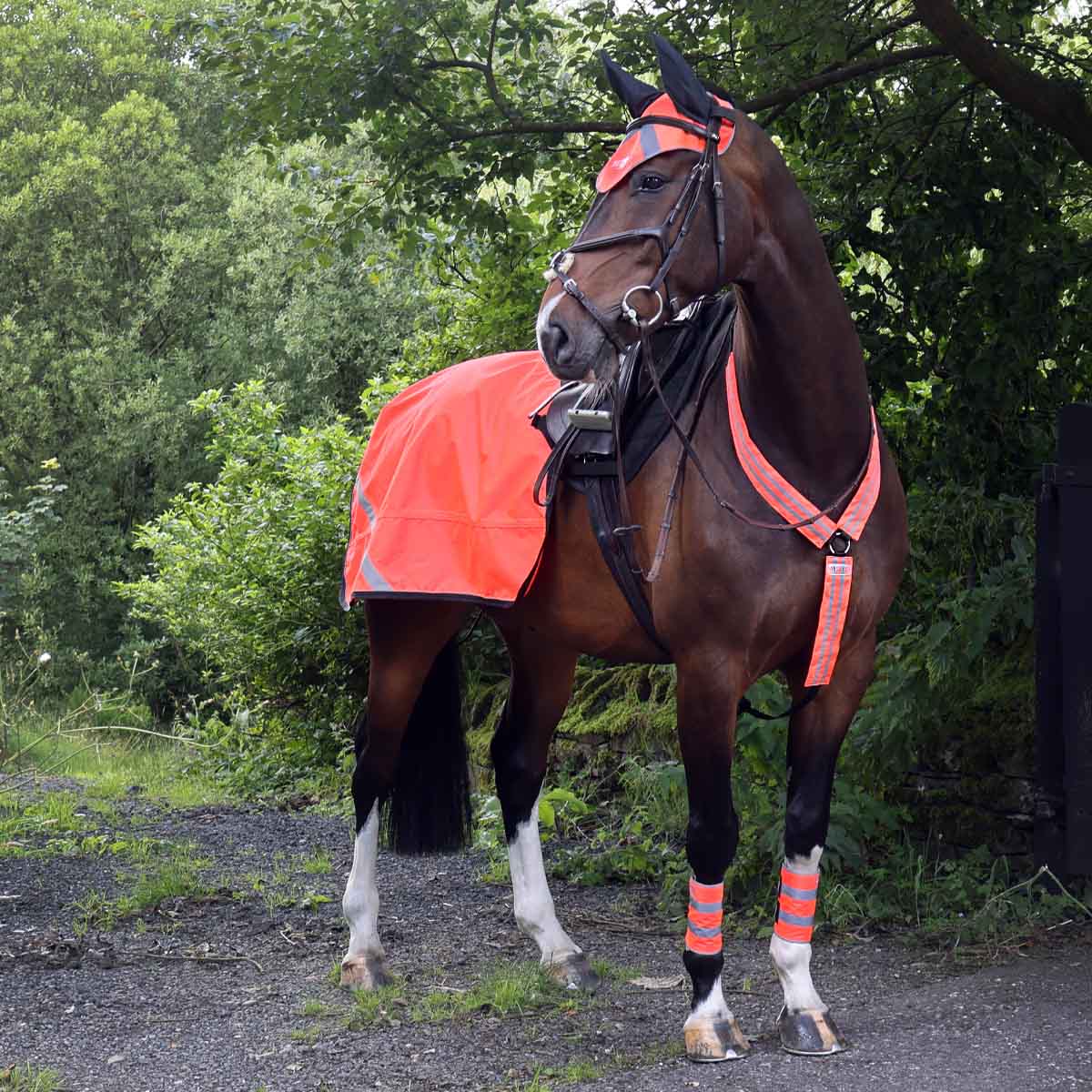 Fluorescent horse clearance riding jackets