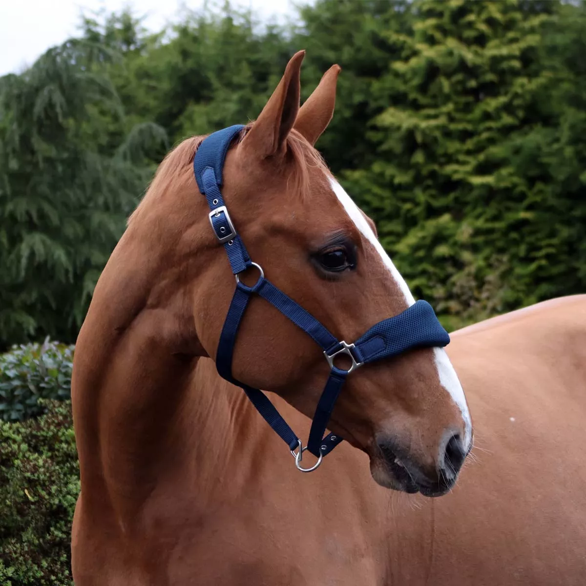 Cottage Craft Airmesh Headcollar Navy Blue