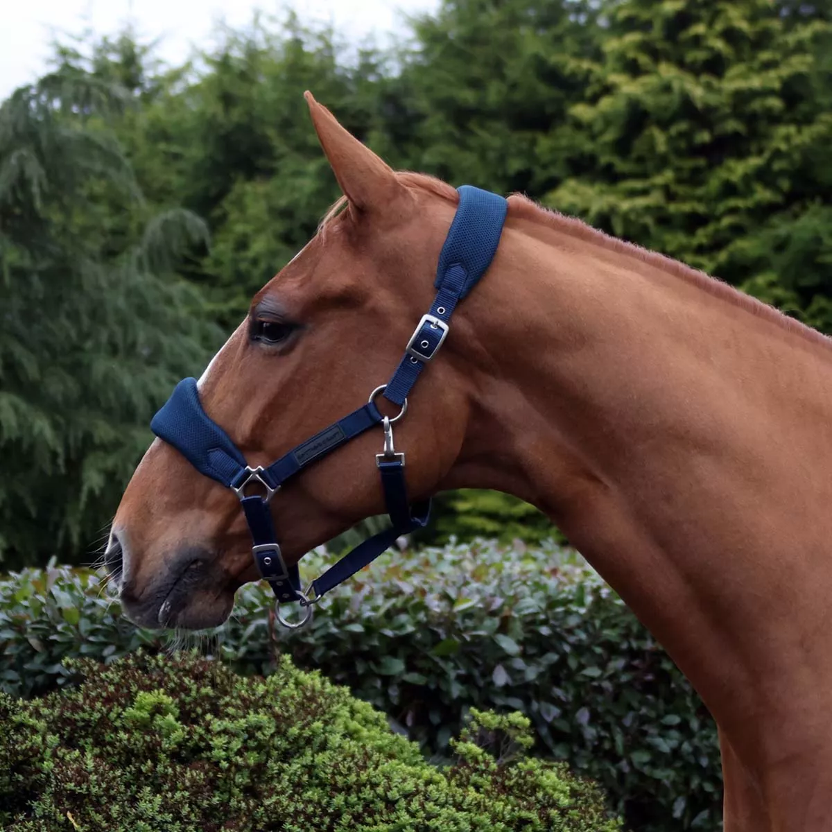 Cottage Craft Airmesh Headcollar Navy Blue