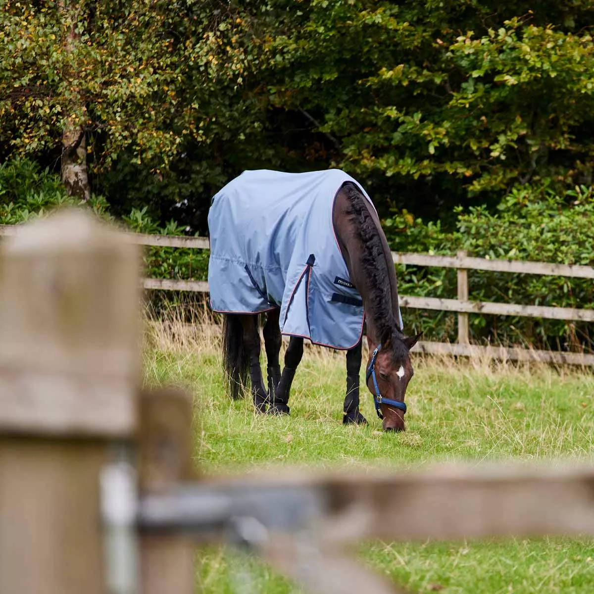 Ventomasta 0g Lightweight Standard Neck Turnout Rug Grey