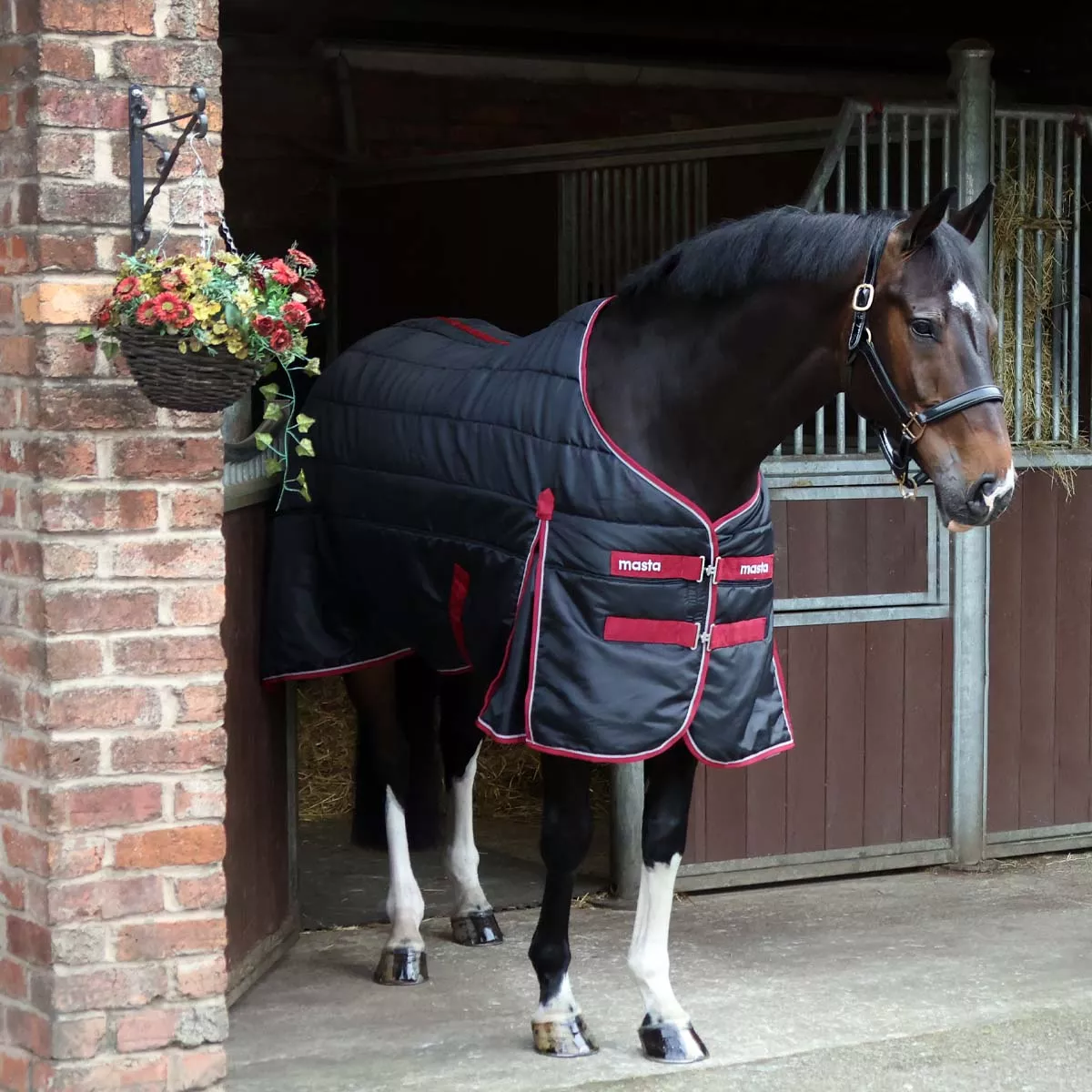 Ventomasta 100g Lightweight Standard Neck Stable Rug Black