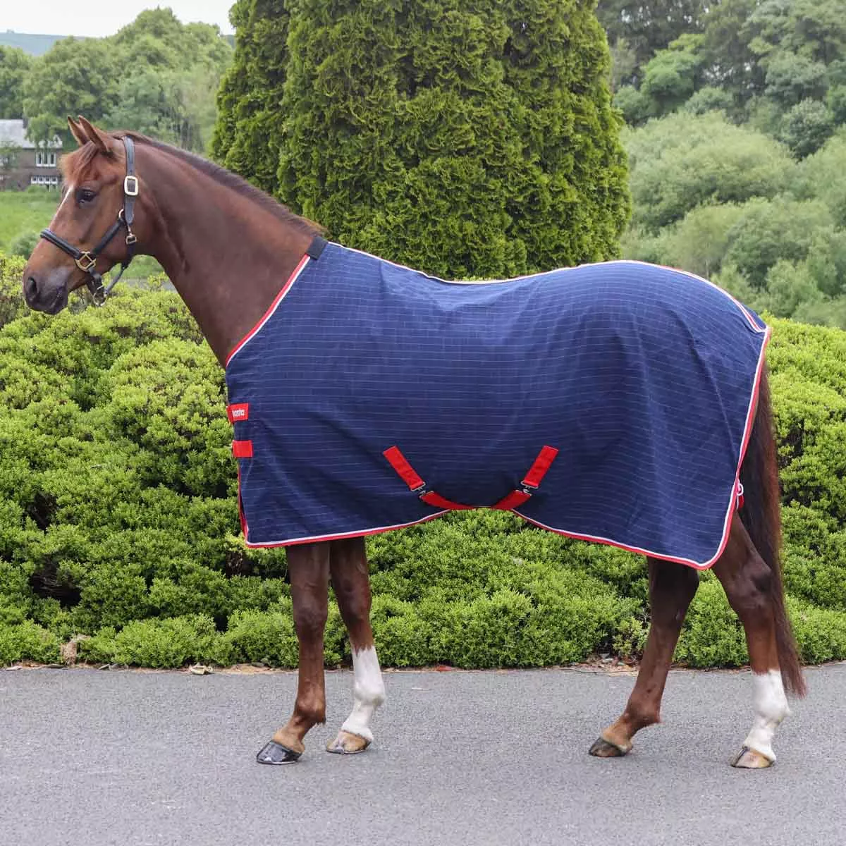 Masta Summer Sheet Rug Dark Navy