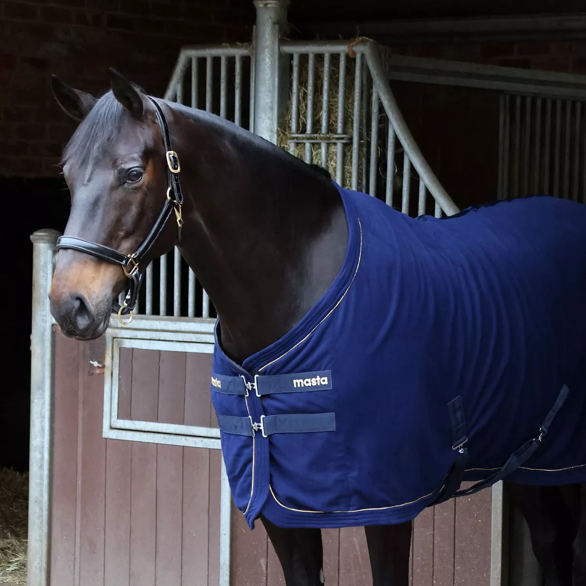 Masta Fleece Rug Standard Neck Navy Blue