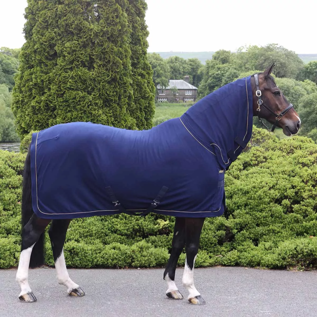 Masta Combo Neck Fleece Rug Navy Blue