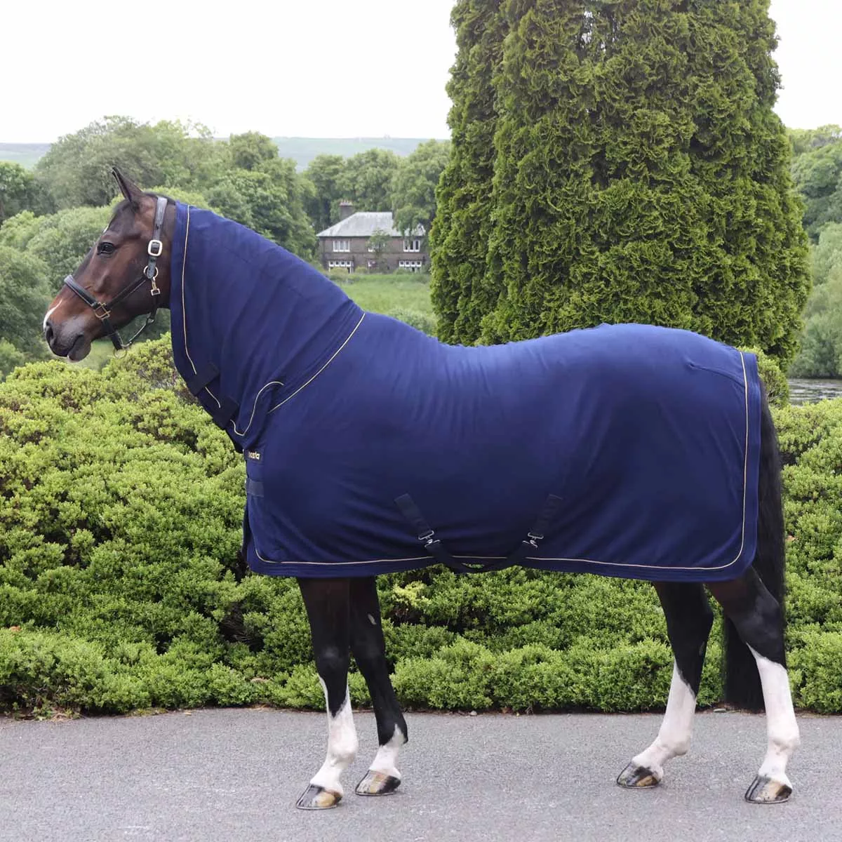 Masta Combo Neck Fleece Rug Navy Blue