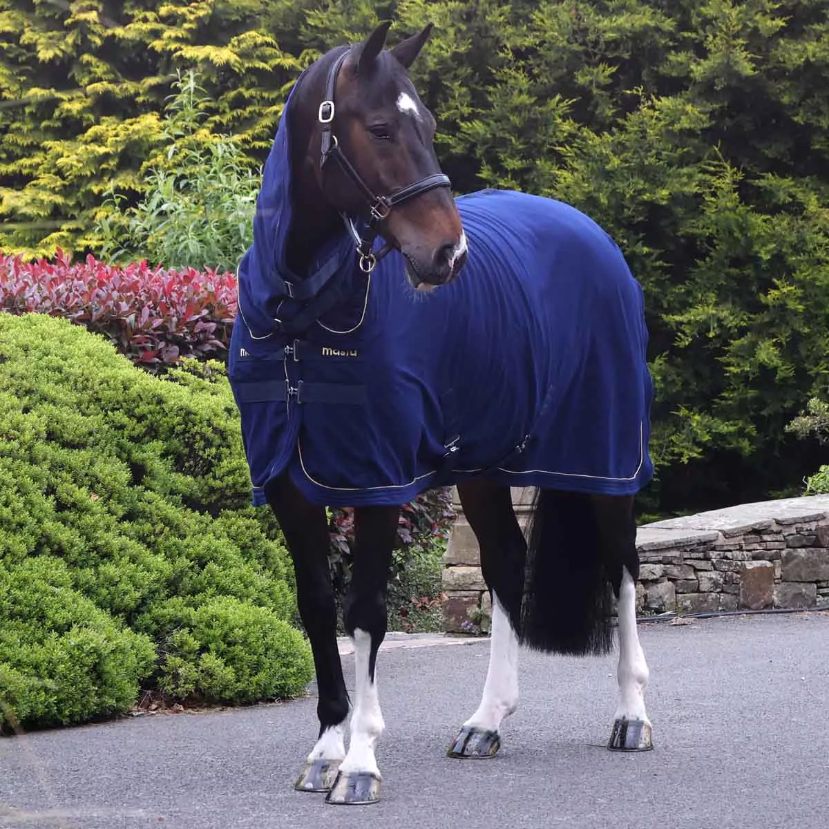 Masta Combo Neck Fleece Rug Navy Blue