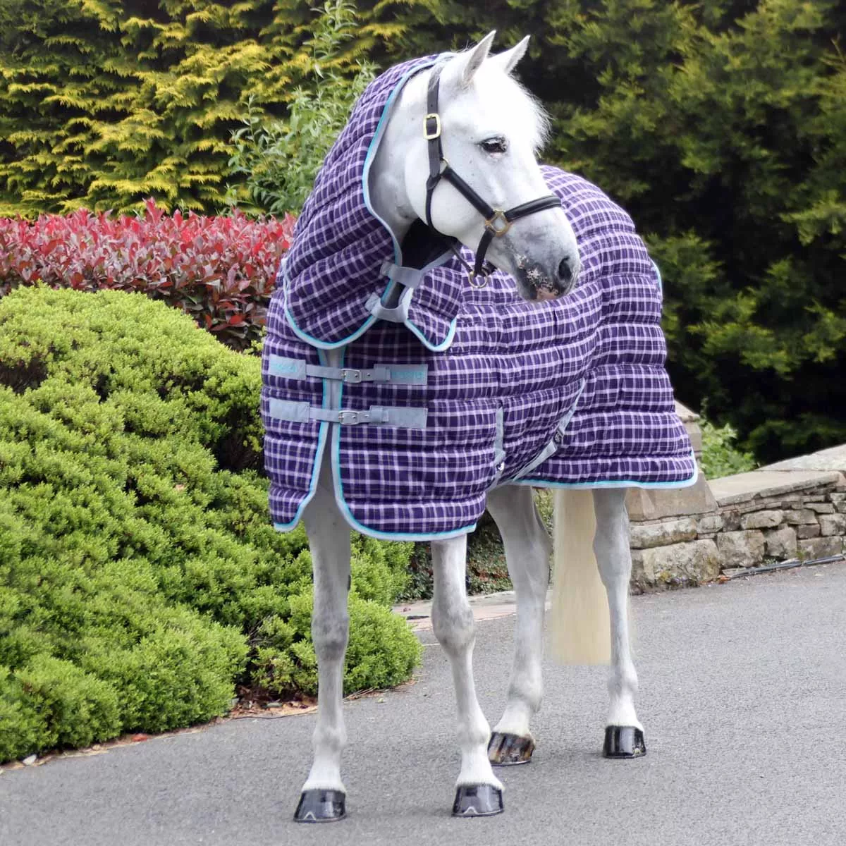 Snugmasta 350g Heavyweight Combo Neck Stable Rug Dark Purple