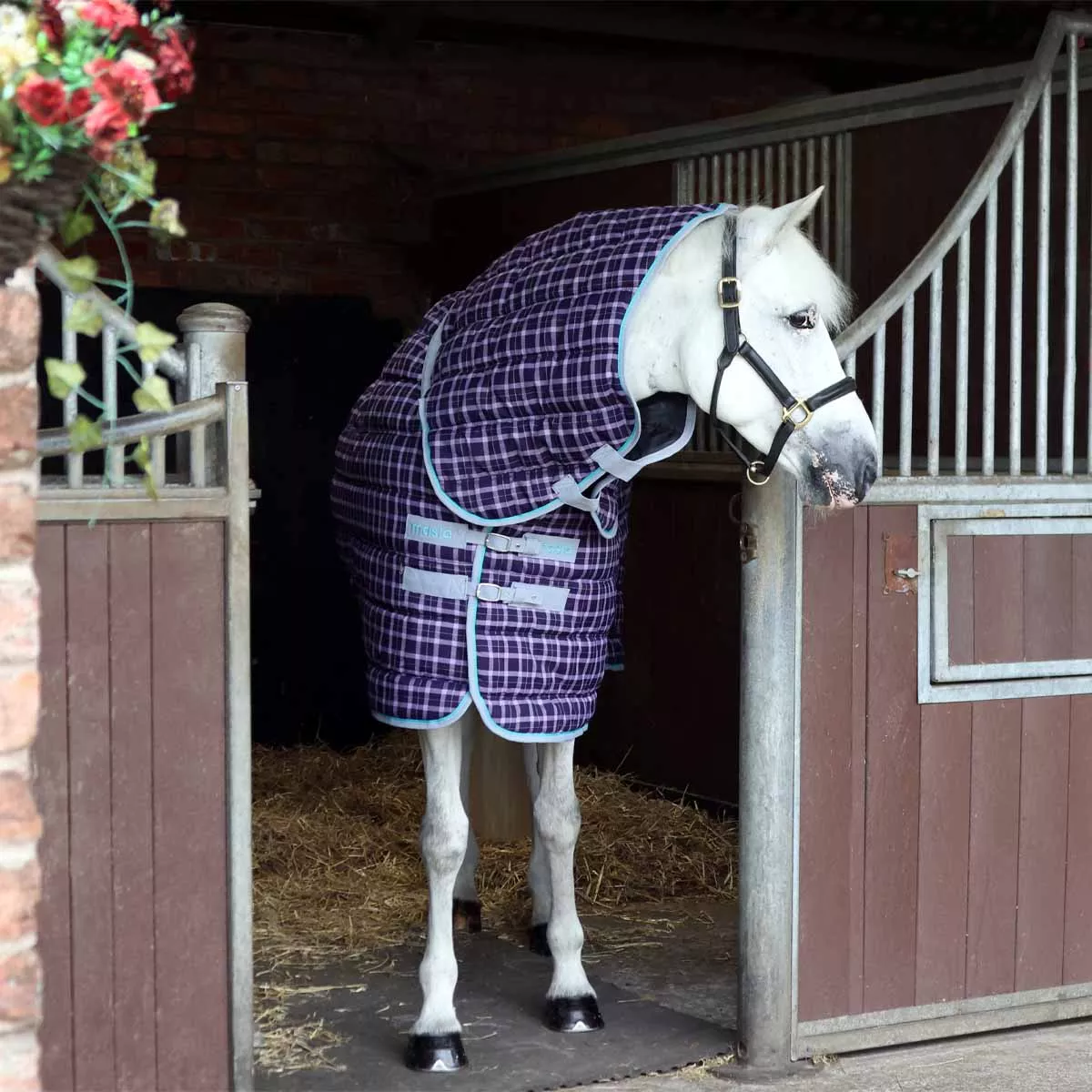 Snugmasta 350g Heavyweight Combo Neck Stable Rug Dark Purple