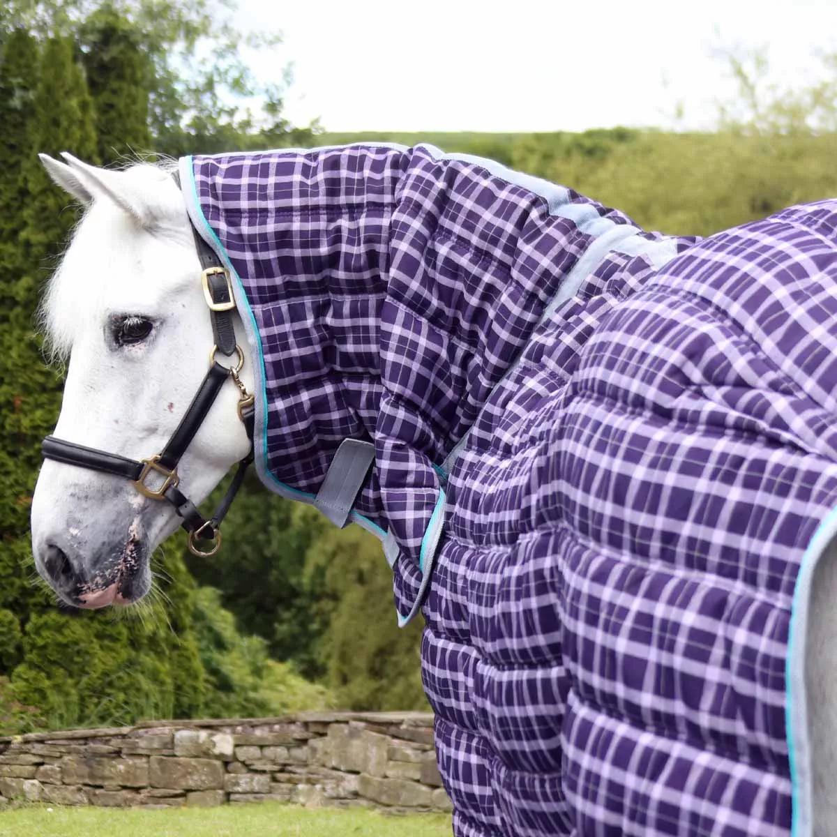 Snugmasta 350g Heavyweight Combo Neck Stable Rug Dark Purple