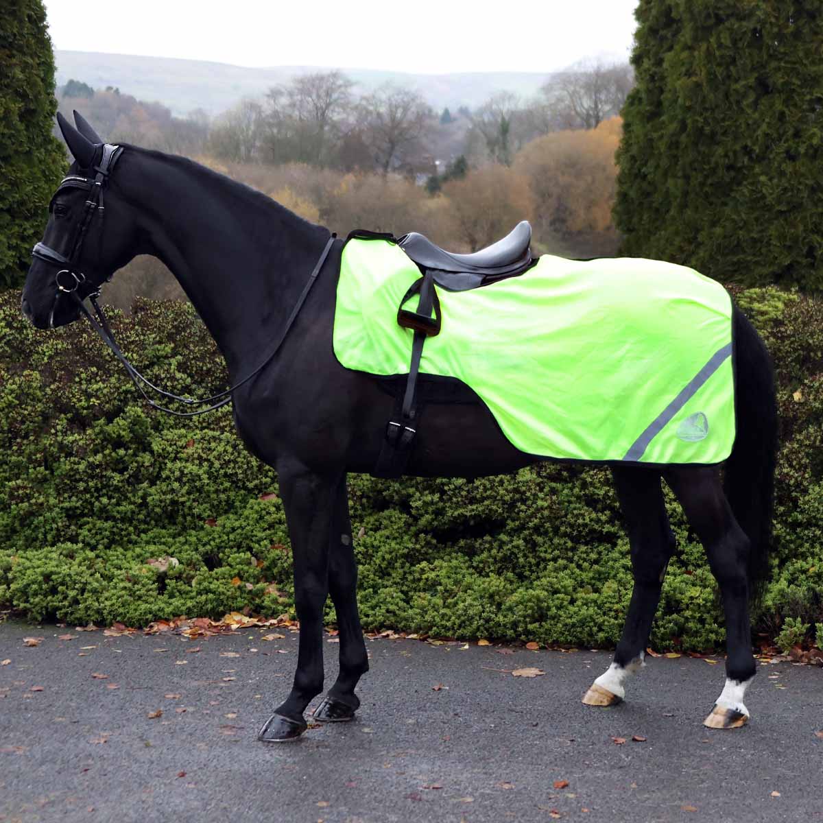 Magnetic Horse Sheet - Equestrian Magnetic Therapy Mesh Sheet