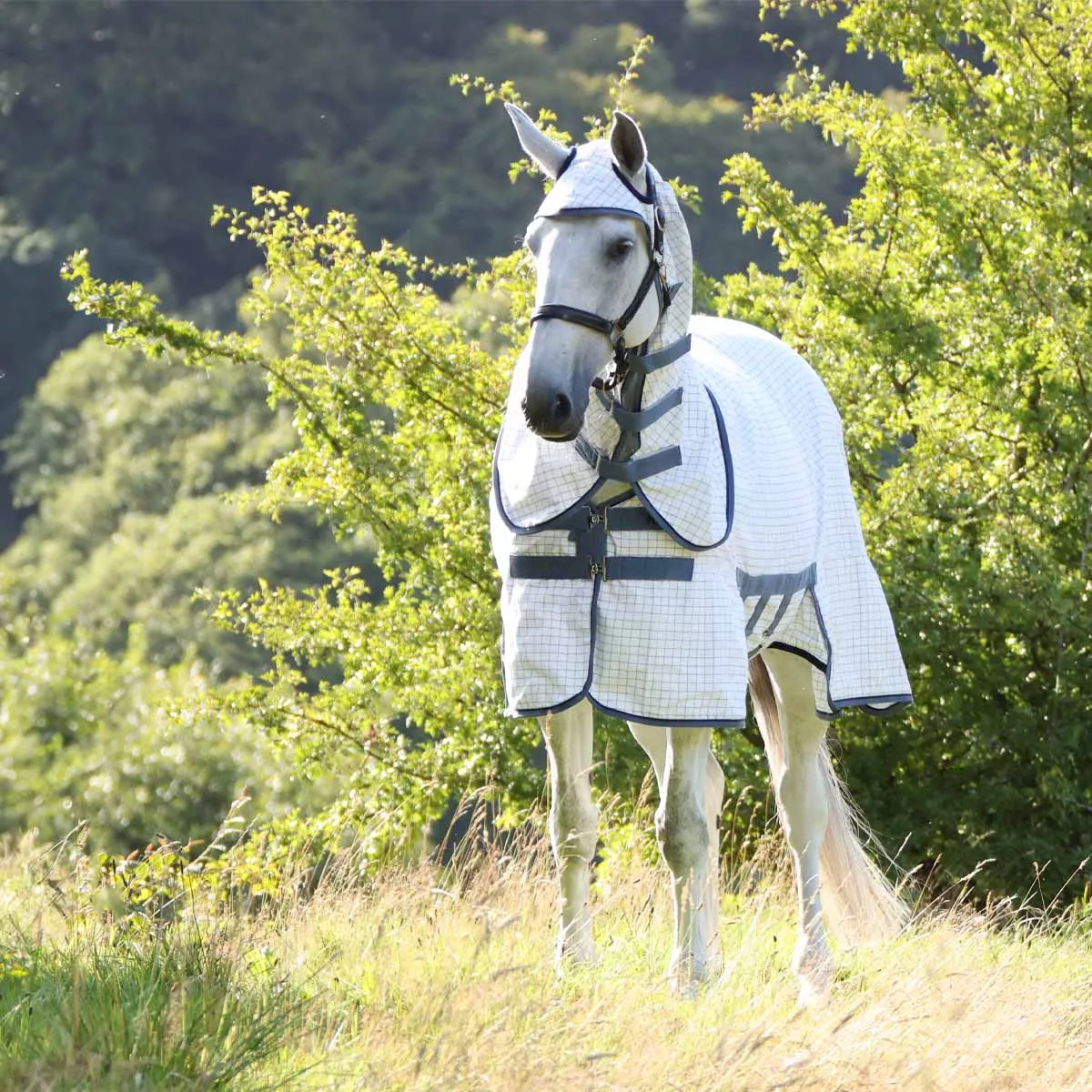 Masta Combo Sweet Itch Fly Rug with Belly Wrap White