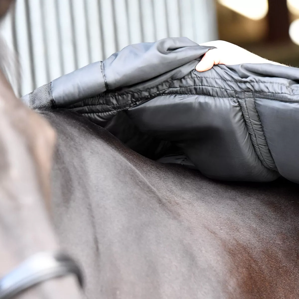 Fieldmasta 100g Lightweight Combo Neck Turnout Rug Navy Blue