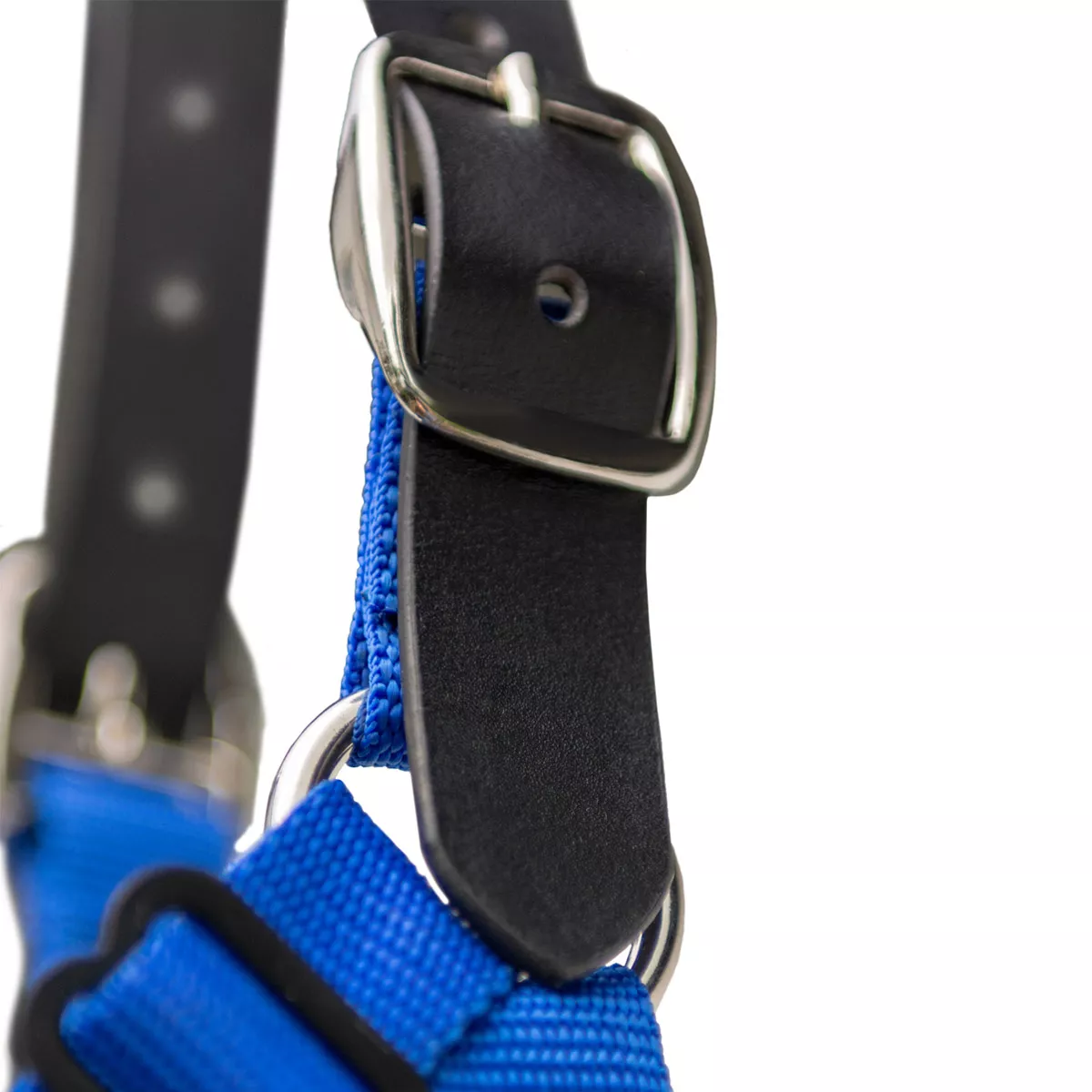 The Ultimate Grazing Muzzle Size Full Blue